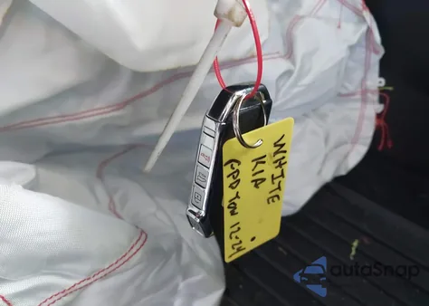 2020 Kia Telluride Ex z USA, uszkodzony, nr VIN 5XYP3DHC1LG092553